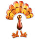 PopTop- Turkey