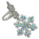 Rings- Holographic Snowflake