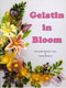 Gelatin in Bloom- Stidham and Simmons