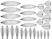 Gelatin Veining Sheet- Leaf 2