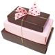 Stretch Loop with Pink and Brown Bow