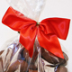 Red Twist Tie Bow
