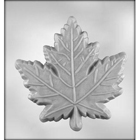 Bark Mold - Leaf