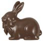 Layon- Rabbit