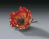 Orange Poppy Flower
