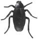 Layon - Roach