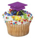 Picks - Graduation Cap/Purple