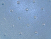 Earlene's Impression Mat-Dot 1"