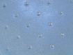 Earlene's Impression Mat-Dot 3/4"