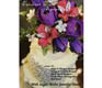 DVD- Fabulous Floral Arranging