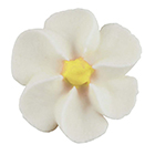 Tiny Royal Icing Flowers-White