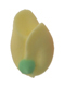 Small Rosebud-Yellow