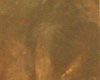 Confectioners Foil 20" x 50'