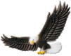 Dec-Ons® Molded Sugar - Eagle in Flight