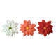 Dec-Ons® Molded Sugar - Poinsettia Assortment