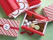 Treat Box - Candy Cane Matchbox