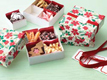 Treat Box - Woodland Poinsettia