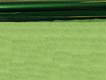 Cello Wrap- Green 30" x 100'