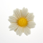 Medium White Gum Paste Daisies