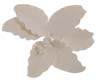 Large White Casablanca Lily