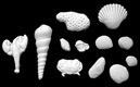 White Fondant Sea Shell Assortment