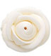 Ready-Made Icing Flowers