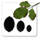 JEM Cutters - Rose Leaf