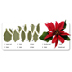 JEM Cutters - Poinsettia