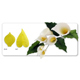 JEM Cutter - Large Arum Lily & Leaf