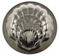 Small Shell Mold