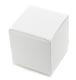 White Gloss Box, 1 Part (Folding)
