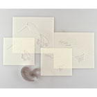Decorative Hummingbird Cutter kit