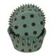Aqua With Brown Dots Standard Baking Cups