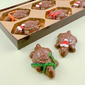 German Chocolate Turtles