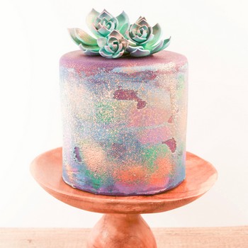 Whimsical Succulent Cake