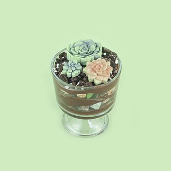 Dirt Pudding Succulent Planters