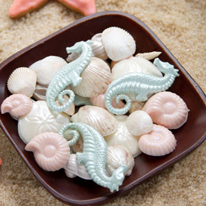 Seashell and Seahorses Candies