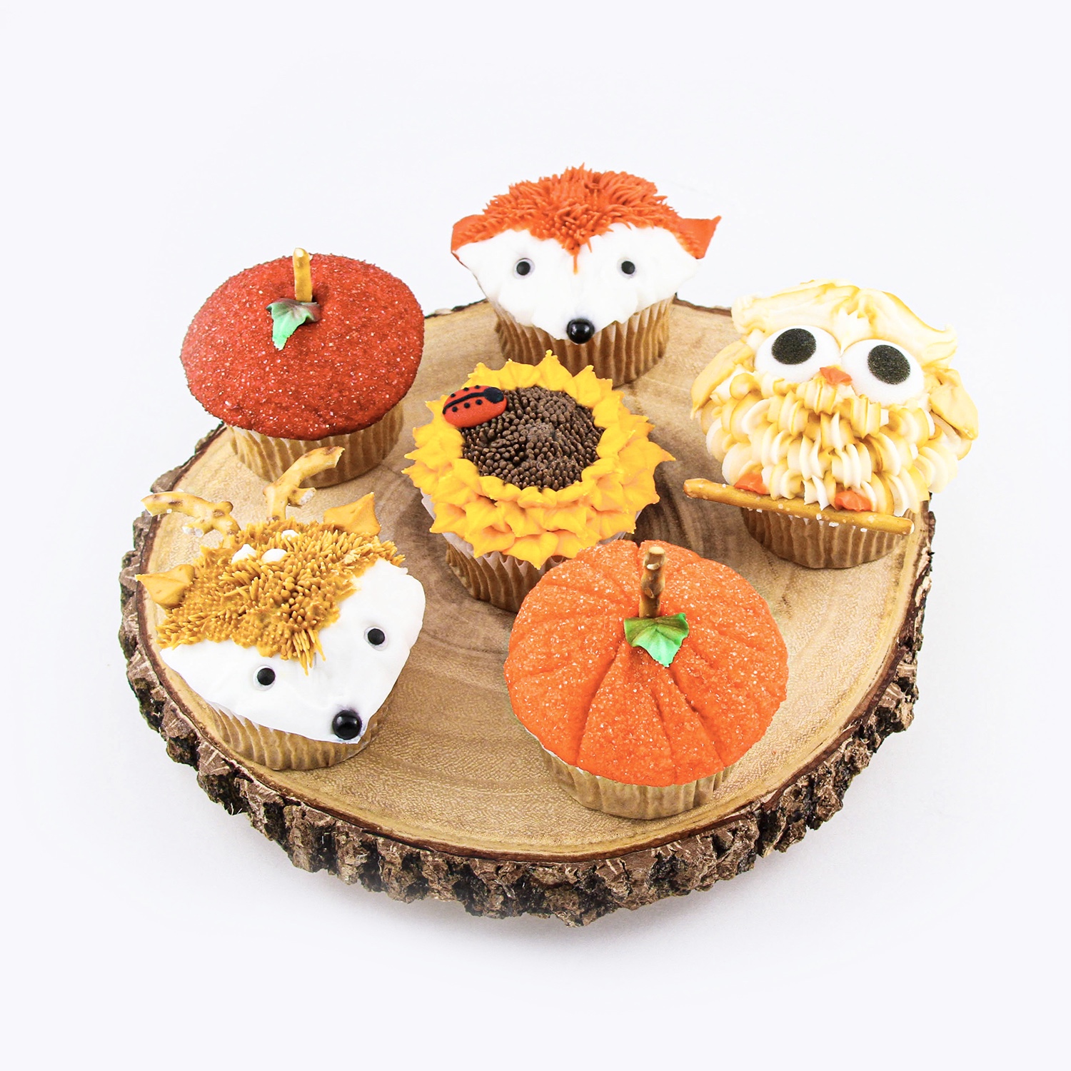 Assorted Fall Cupcakes