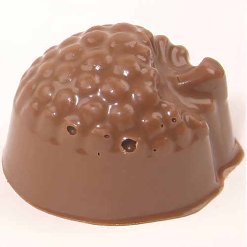 a molded piece of chocolate with an air bubble