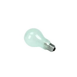 Replacement Bulb