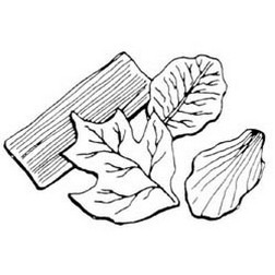 Gum Paste Leaf Veiner Set (B)