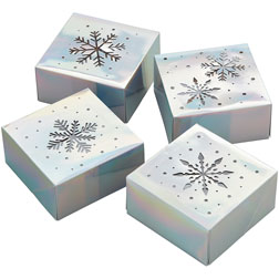 Iridescent Snowflake Window Treat Boxes
