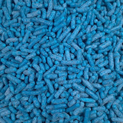 Blue Jimmies - CK Products