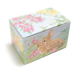 1/2 lb Easter Garden Egg Candy Box