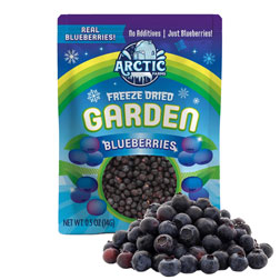 Freeze Dried Blueberries