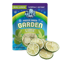 Freeze Dried Lime Slices