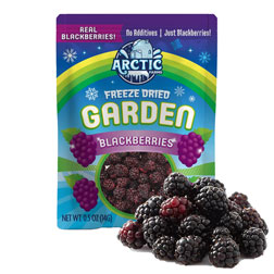 Freeze Dried Blackberries