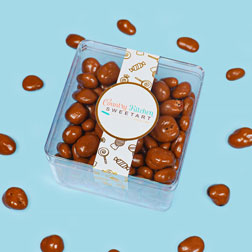 Milk Chocolate Covered Dried Cranberries - Sale