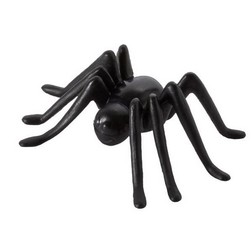 3D Spider Layon