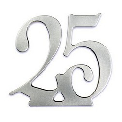 25th Anniversary Cake Topper